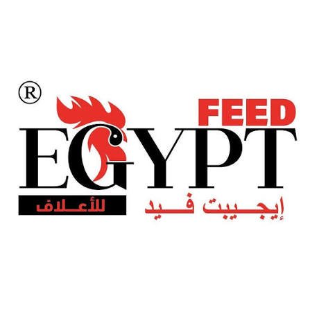 egypt feed
